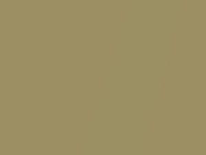 Medium Tan Metallic touch-up paint for Daihatsu, code T34, 2021