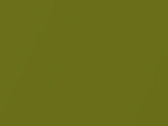 Exotic Green Pearl touch-up paint for Hyundai Venue, code N4R, 2021