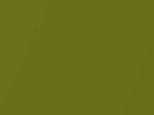 Exotic Green Pearl touch-up paint for Hyundai Venue, code N4R, 2021