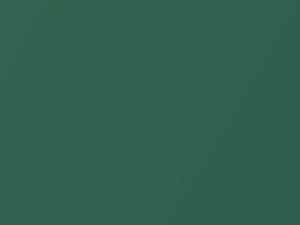Volkswagen Bay Leaf Green Metallic touch up paint LN6X 2020 California