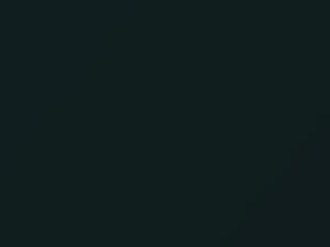 BMW Oxford Green Metallic touch up paint 430 2007 All Models