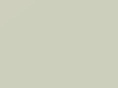Blizzard touch-up paint for Nissan Frontier, code QAK, 2021