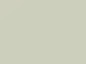 Blizzard touch-up paint for Nissan Altima, code QAK, 2021