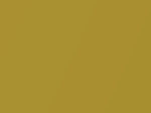 Volkswagen Honey Yellow Metallic touch up paint B1W 2019 All Models