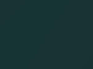 Mercedes-Benz Cl Class Alexandritgruen Metallic touch up paint 6891 1998 ClassCl