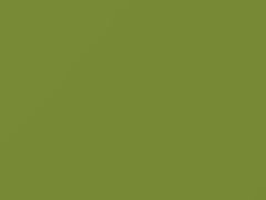 Verde Guacamole touch-up paint for Fiat, code 733A, 2009
