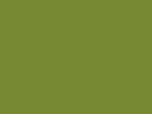 Verde Guacamole touch-up paint for Fiat, code 733A, 2009