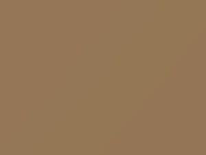 Sahara Beige touch-up paint for Ford, code A, 1912–1966