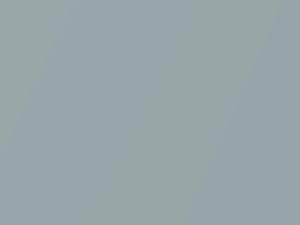 BMW Silverstone II Metallic touch up paint A29 2007 M5