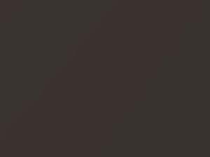 BMW Mojave Brown Metallic touch up paint 331 1994 All Models