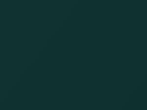 Sierra Green Metallic touch-up paint for Toyota Zace, code 6N7, 1999