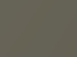 BMW Olive Metallic touch up paint 349 2008 X5
