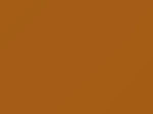 Mellow Yellow touch-up paint for Mini Cooper, code A58, 2008