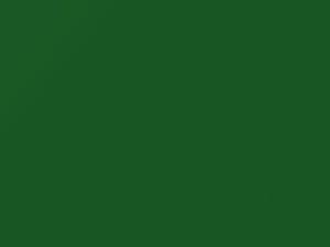 Evergreen touch-up paint for Volkswagen Golf, code 2N, A6C, LA6C, 2001