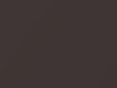 Cocoa Metallic touch-up paint for Buick Enclave, code 414P, 81, WA414P, 2013