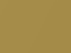 Brass Gold Metallic touch-up paint for Toyota, code 5C2, 2021