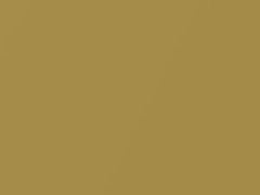 Brass Gold Metallic touch-up paint for Toyota, code 5C2, 2021