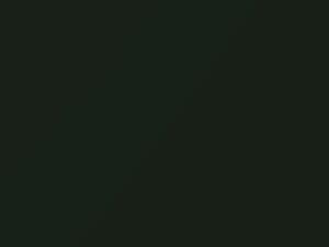 Moss Green Metallic touch-up paint for Jeep, code AY97RJN, PJN, RJN, 2005