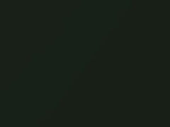 Moss Green Metallic touch-up paint for Hummer, code 4976, 2002