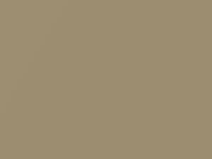 Cashmere Beige Metallic touch-up paint for Kia Rio, code J4, 2010