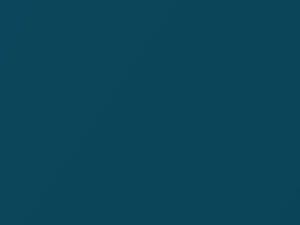 BMW Long Beach Blue Metallic touch up paint C16 2015 All Models