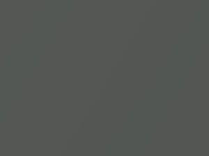 Grigio Alsazia Metallic touch-up paint for Fiat Panda, code 664A, 2002