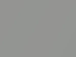 Light Tarnished Silver Metallic touch-up paint for Buick Lucerne, code 67U, 2007