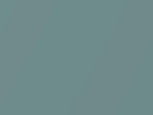 Aquamarine Frost Metallic touch-up paint for Ford Focus, code 592, 6464 + alternatives, 1999