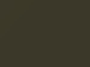 Grayish Olive touch-up paint for Toyota, code 6H9, 1990