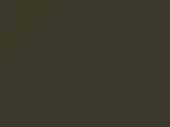 Grayish Olive touch-up paint for Toyota, code 6H9, 1990