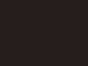 Burnished Brandy Metallic touch-up paint for Buick, code 406Y, G1F, WA406Y, 2020