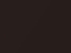 Burnished Brandy Metallic touch-up paint for Cadillac, code 406Y, G1F, WA406Y, 2019