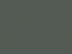 Oasis Green Pearl touch-up paint for Toyota 4RUNNER, code 6T5, 2004