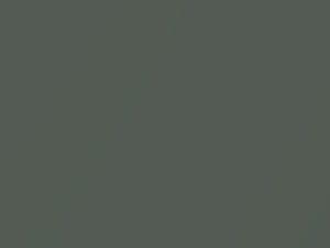 Oasis Green Pearl touch-up paint for Toyota 4RUNNER, code 6T5, 2004