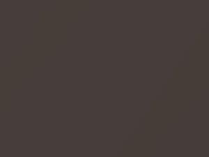 Stone Gray Metallic touch-up paint for Ford Edge, code 7393, D1 + alternatives, 2019