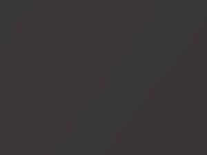 Predawn Gray Mica touch-up paint for Toyota, code 1H1, 2021