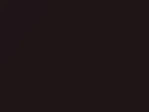 Black Currant Metallic touch-up paint for Toyota Ist, code 9AH, 2015
