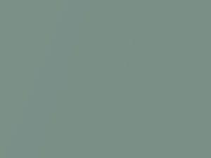 Light Green Metallic touch-up paint for Nissan Cube, code D40, 2005