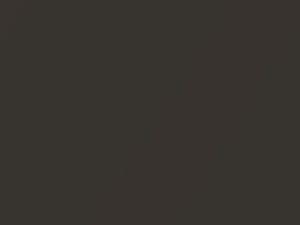 BMW Havanna Metallic touch up paint A17 2014 M6