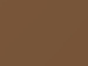 Light Chestnut touch-up paint for Mercury, code M6190A, M6303, 2003