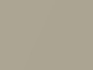 Satin Cashmere Metallic touch-up paint for Lexus ES350, code 4U7, 2010