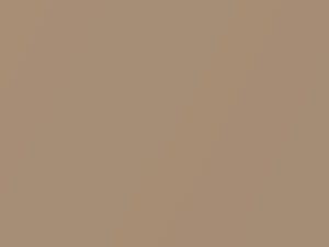 Sierra Beige Metallic touch-up paint for Toyota Grandlux, code 4M4, 1994