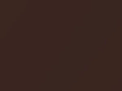 Volkswagen Dark Bronze Metallic touch up paint 2J 2017 Jetta
