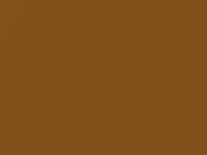 Volkswagen Savanna Gold Metallic touch up paint 8F 2018 All Models