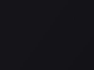 BMW Cosmos Black Metallic touch up paint 303 1999 Z3