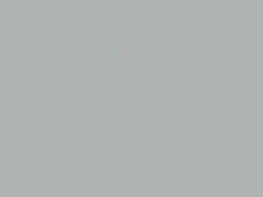 Silver Streak Mica touch-up paint for Toyota Celica, code 10000000, 2004