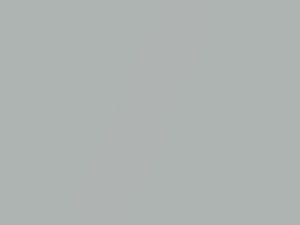 Silver Streak Mica touch-up paint for Toyota Celica, code 10000000, 2004
