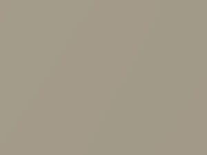 Cream Gold Metallic touch-up paint for Kia Opirus, code D8, 2004