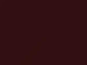 BMW Royal Red Metallic touch up paint 390 2003 All Models