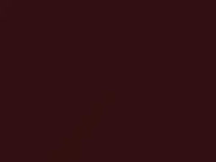 BMW Royal Red Metallic touch up paint 390 2001 All Models